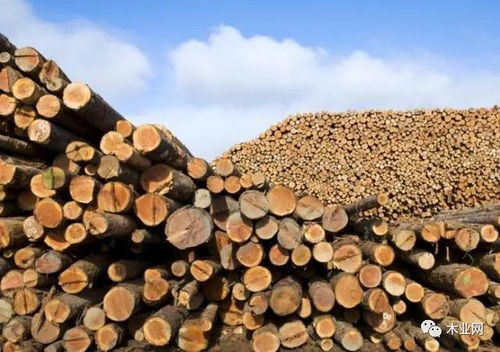 中俄跨境木材交易 迈向整合共赢的新时代