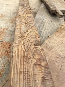 探索常见木材的种类与特性