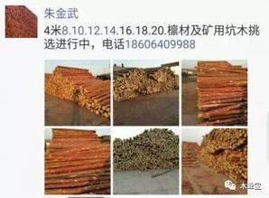 精品木材销售信息 原木与板材的一站式解决方案