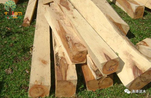 中国木材商采购热潮加剧越南木材业成本压力